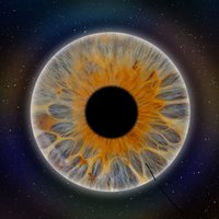 Schmako Traumtester vom und zum Feinsten