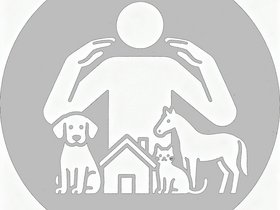 First image of classified