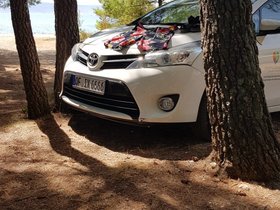 First image of classified